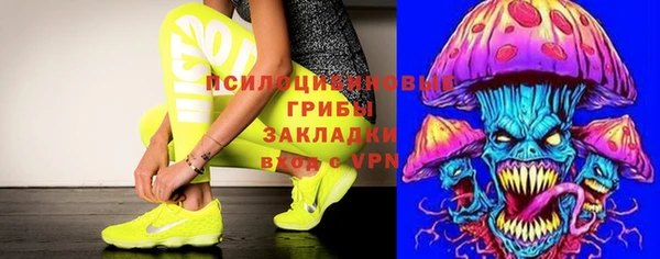 молекула духа Саяногорск