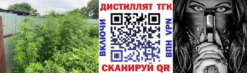 Купить закладки Солнечногорск ТГК концентрат